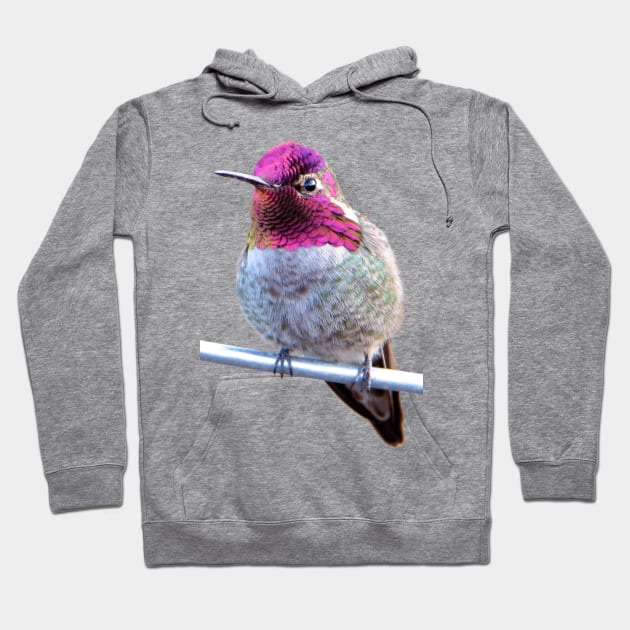 Anna's Hummingbird Photo Hoodie by DeniseBruchmanPhotography